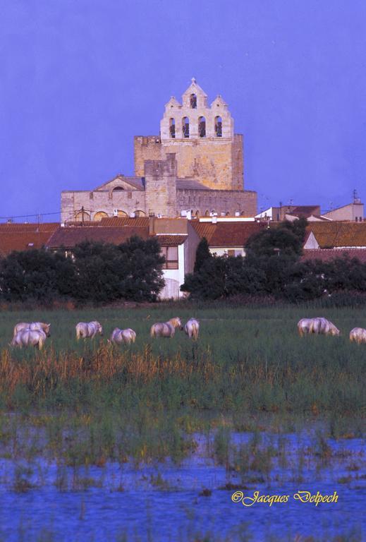 L' Arlesienne Camping Arles