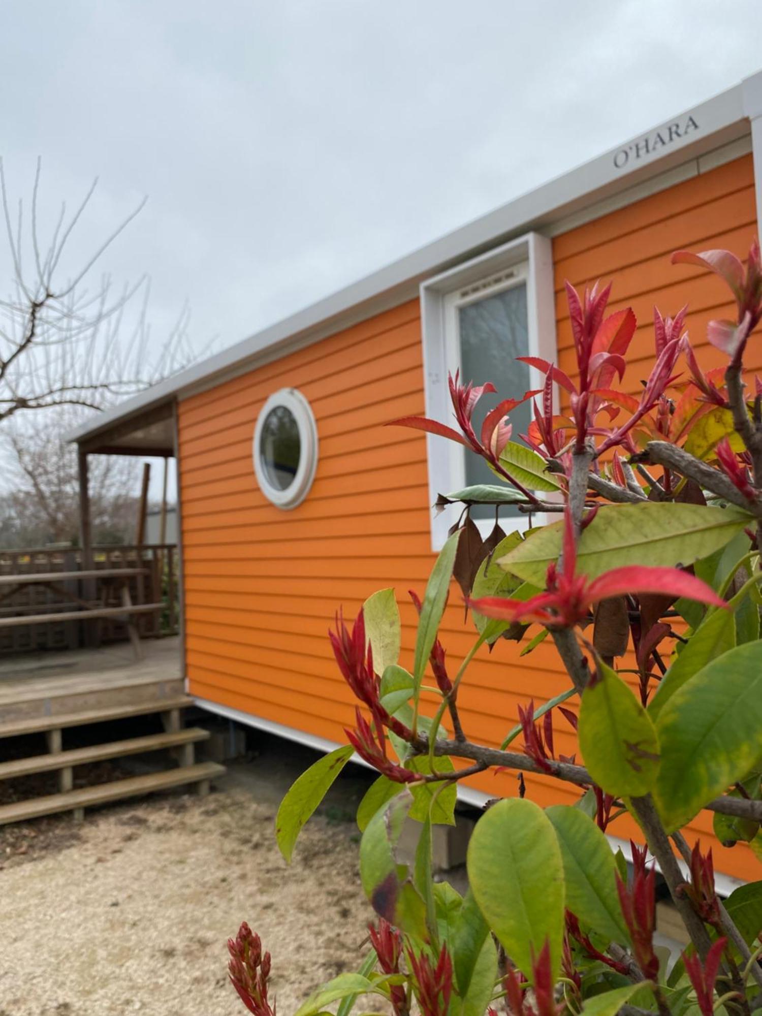 Camping L' Arlesienne Arles