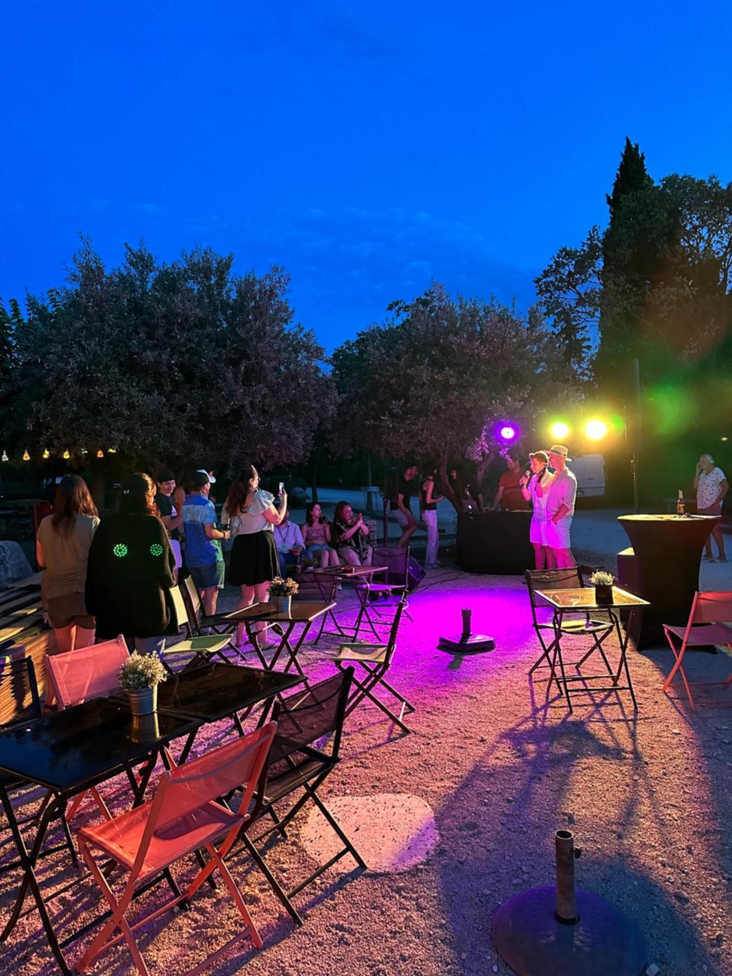 L' Arlesienne 3* Arles