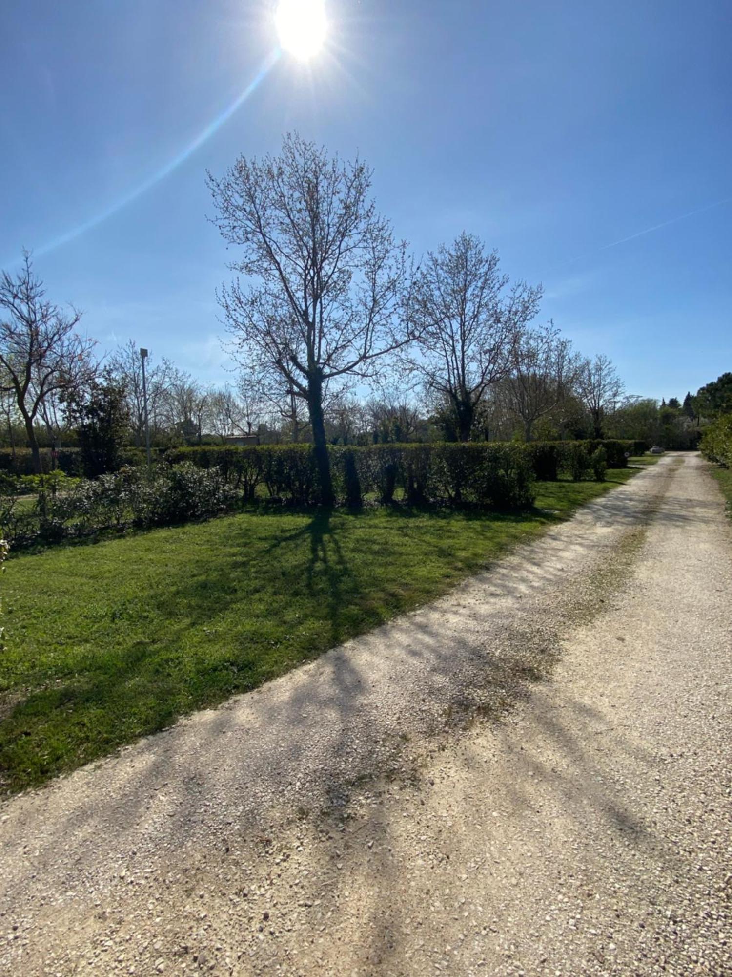 L' Arlesienne Camping 3*