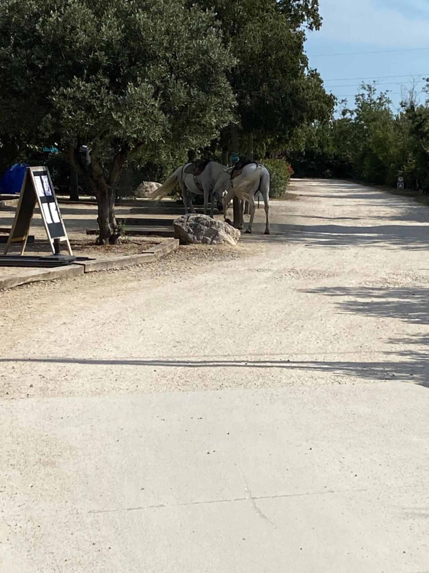 L' Arlesienne Campsite 3*